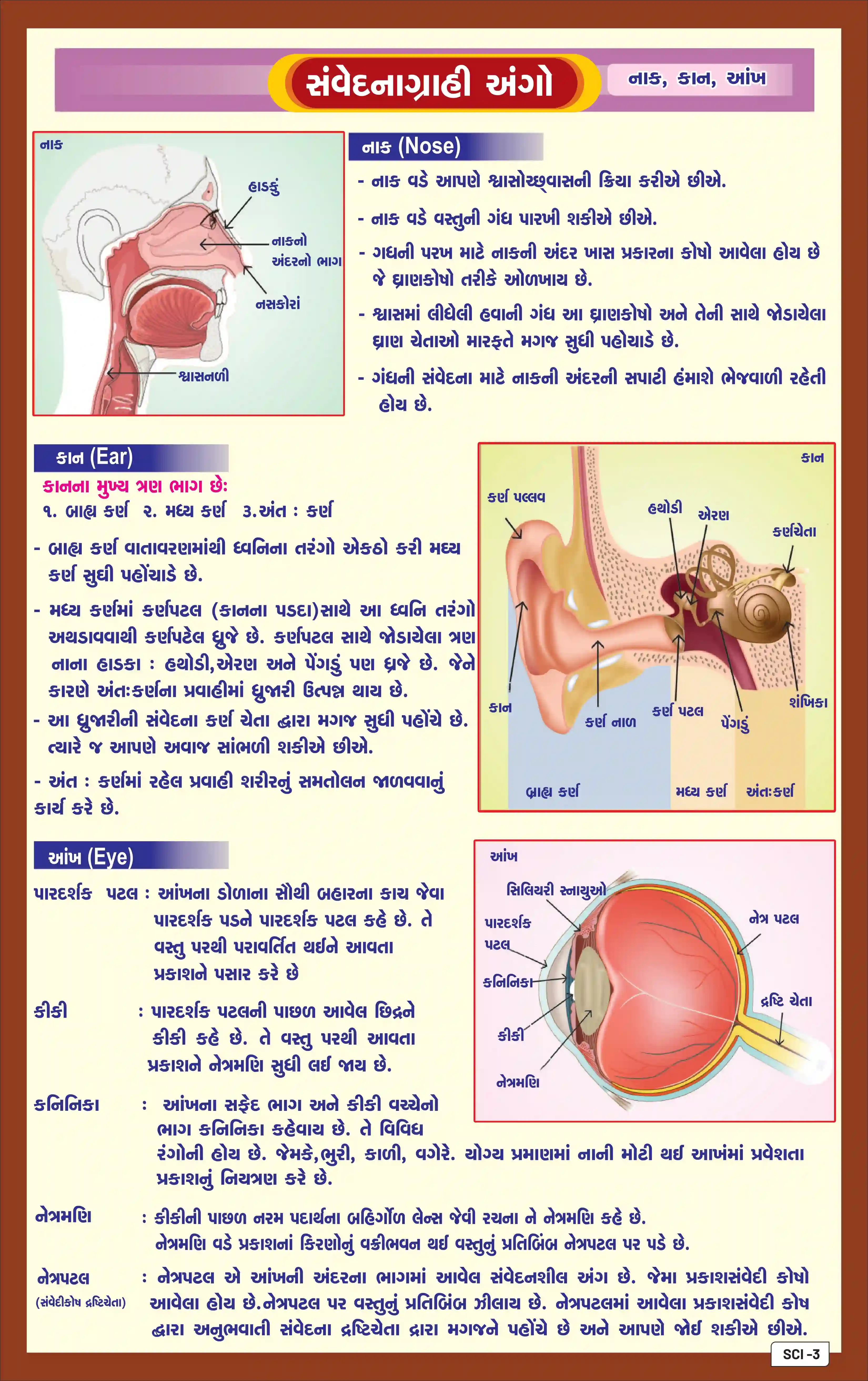 SCIENCE A3 CHART WITH HOT LAMINATION (28PC)