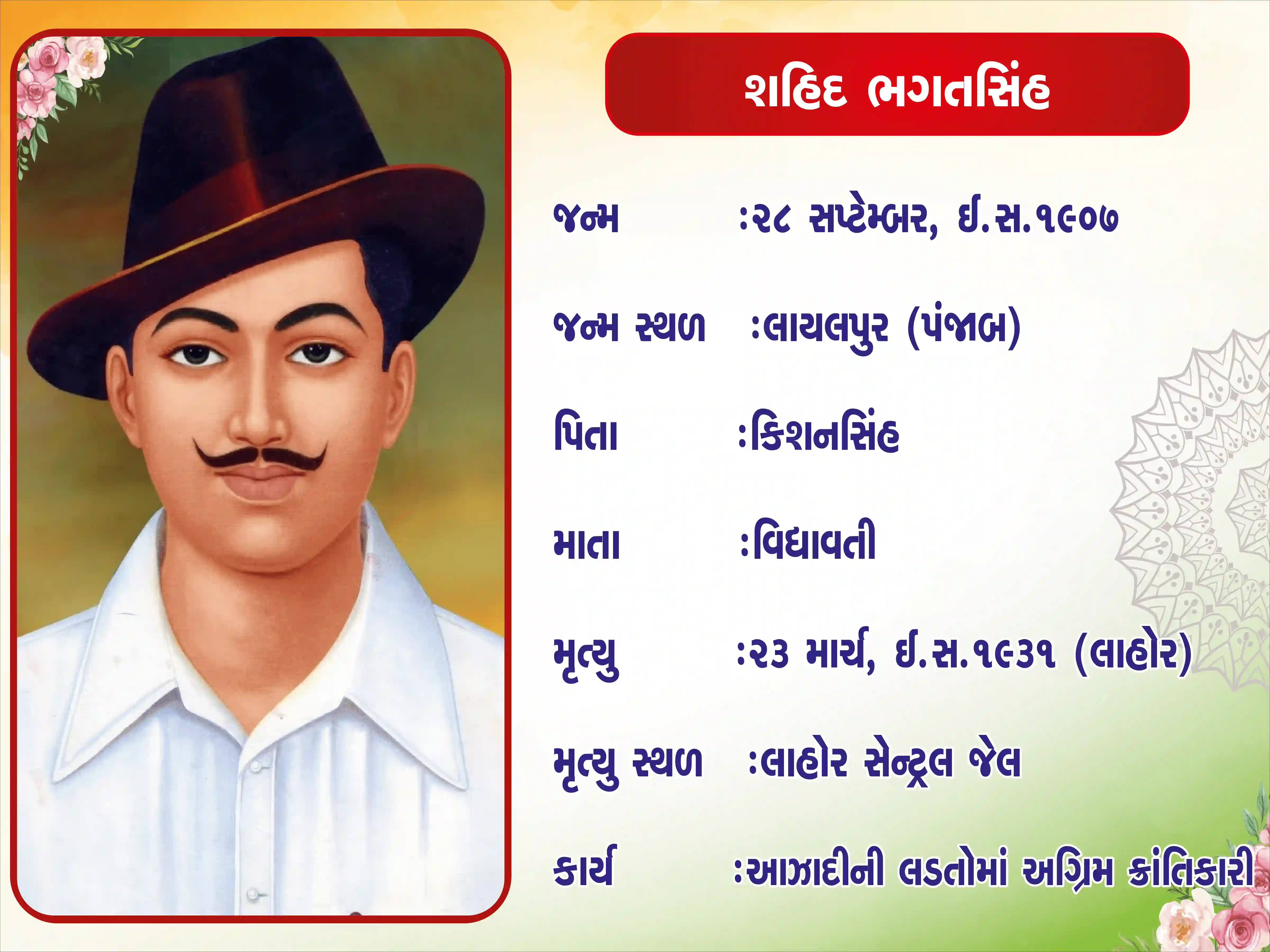 Bhagatsinh 2feet * 1.5feet 5mm Foam Sheet