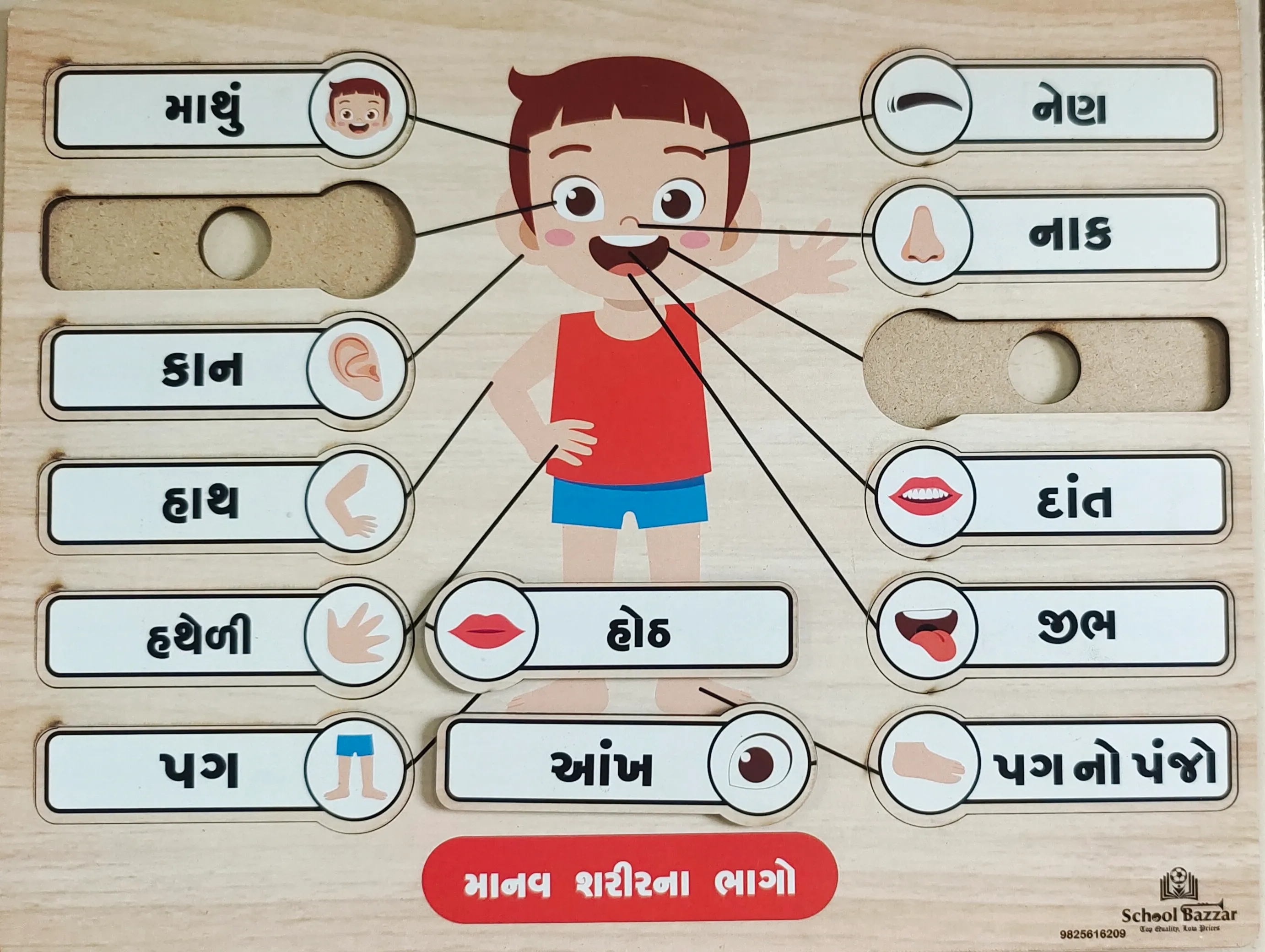 Body Parts Puzzle MDF Board Size 8 inch × 11 inch