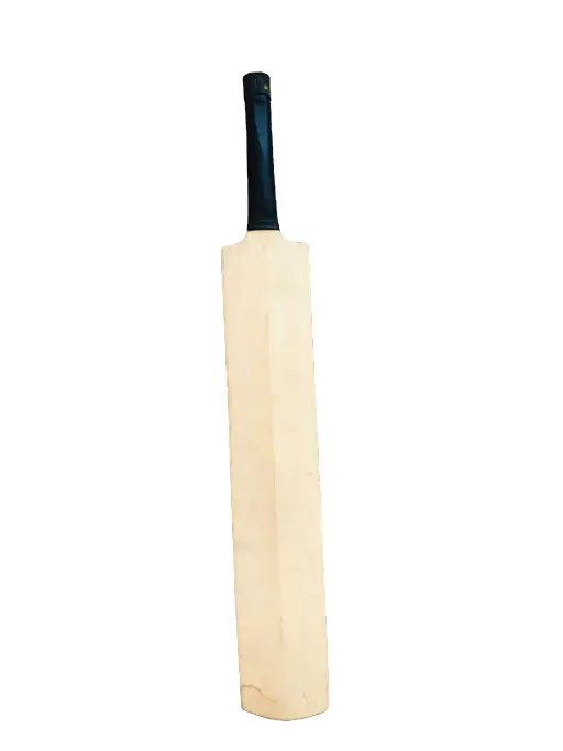 Patiya Cricket Bat 2 ft